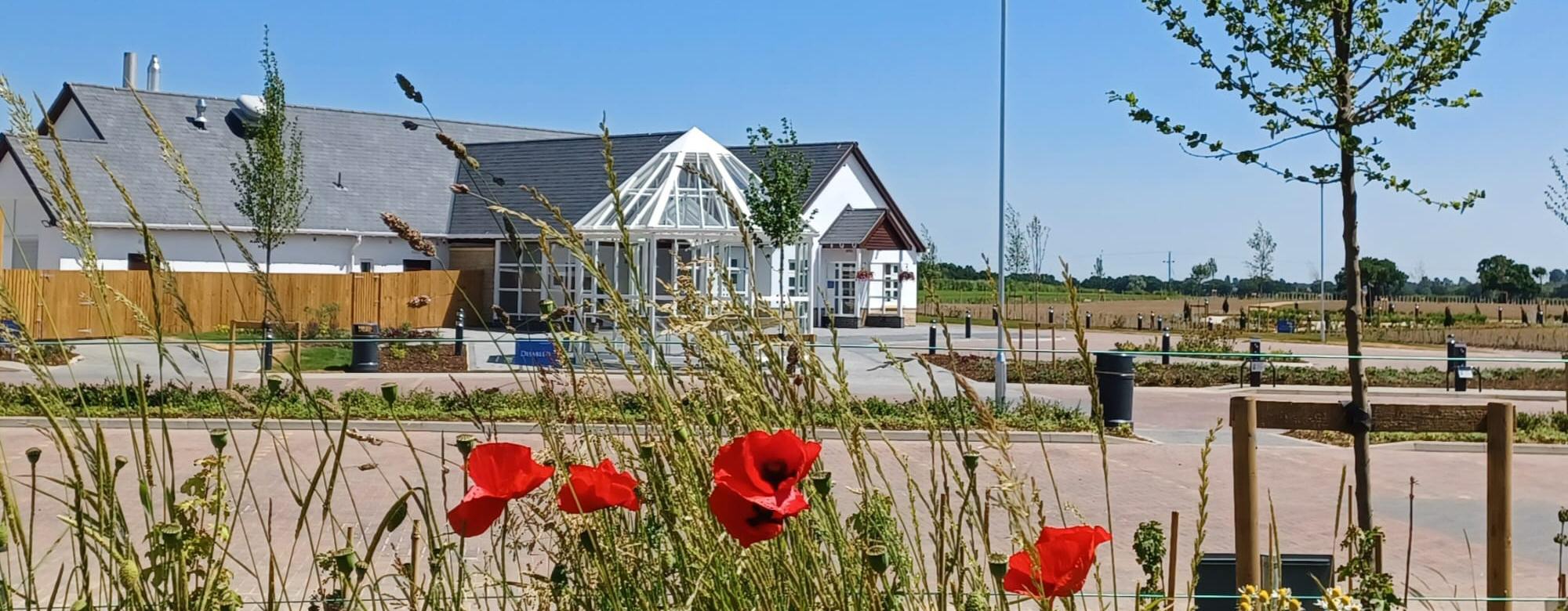 Doncaster Crematorium Poppies